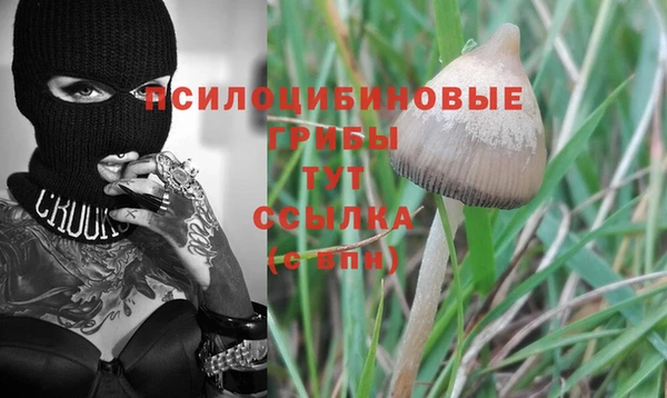 экстази Алзамай