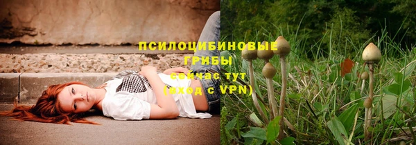 экстази Алзамай