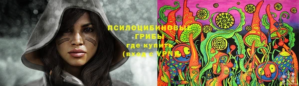 бошки Абаза