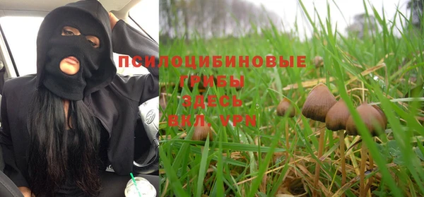 бошки Абаза