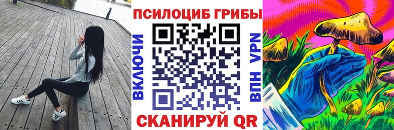 Галлюциногенные грибы мицелий  Северская 
